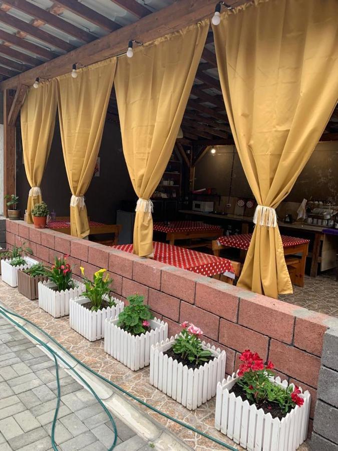 Гостевой Дом Пегас Hotel Pitsunda Exterior foto